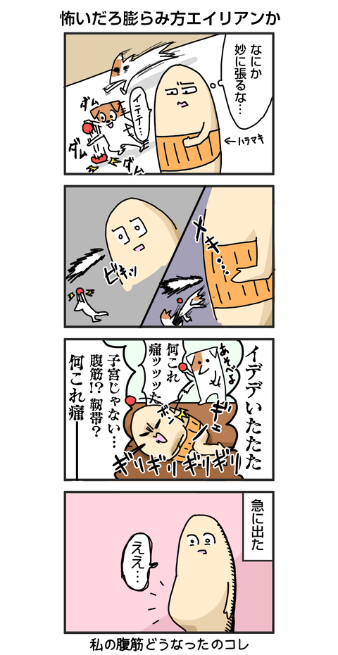 腹が出た