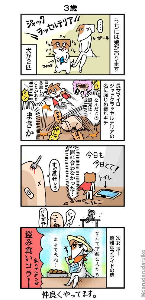 6_犬の話