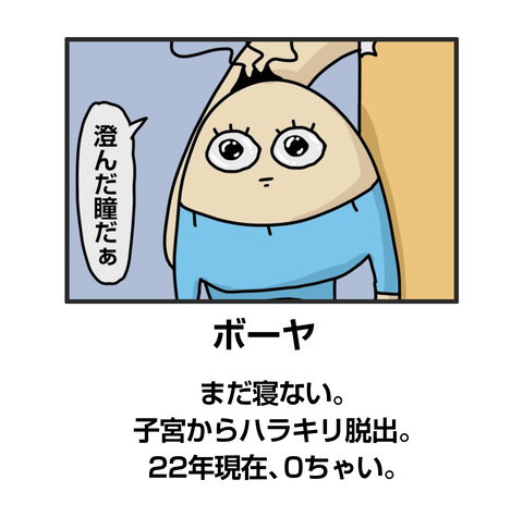 ボーヤ