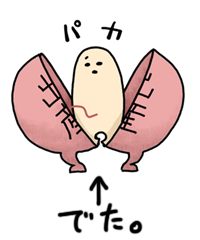 出産１