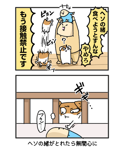 ++ダルなおまけ
