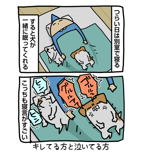 +ブログ_おまけ